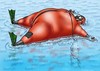 Big Horse, Drysuit Inflation 4