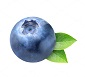 BackwardBerry's picture